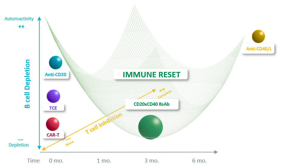 Efficient Frontier of Immune Reset